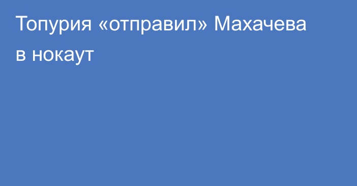 Топурия «отправил» Махачева в нокаут