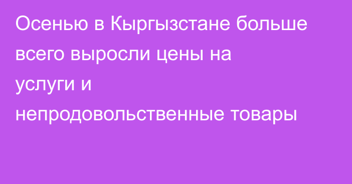 Осенью в Кыргызстане больше всего выросли цены на услуги и непродовольственные товары