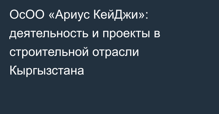ОсОО «Ариус КейДжи»: деятельность и проекты в строительной отрасли Кыргызстана