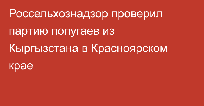 Россельхознадзор проверил партию попугаев из Кыргызстана в Красноярском крае
