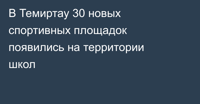 В Темиртау 30 новых спортивных площадок появились на территории школ
