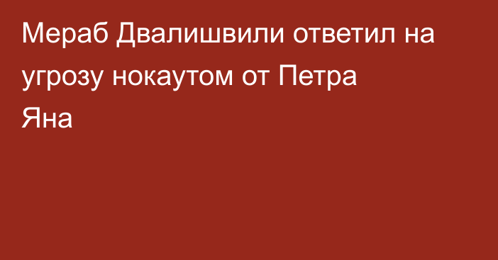 Мераб Двалишвили ответил на угрозу нокаутом от Петра Яна