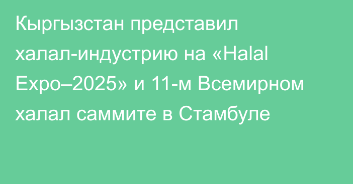 Кыргызстан представил халал-индустрию на «Halal Expo–2025» и 11-м Всемирном халал саммите в Стамбуле