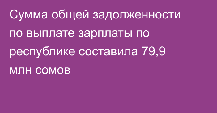 Сумма общей задолженности по выплате зарплаты по республике составила 79,9 млн сомов