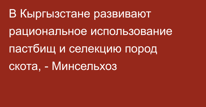 В Кыргызстане развивают рациональное использование пастбищ и селекцию пород скота, - Минсельхоз