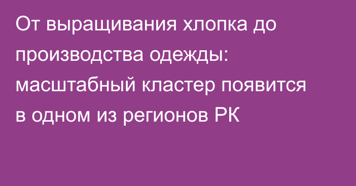 От выращивания хлопка до производства одежды: масштабный кластер появится в одном из регионов РК