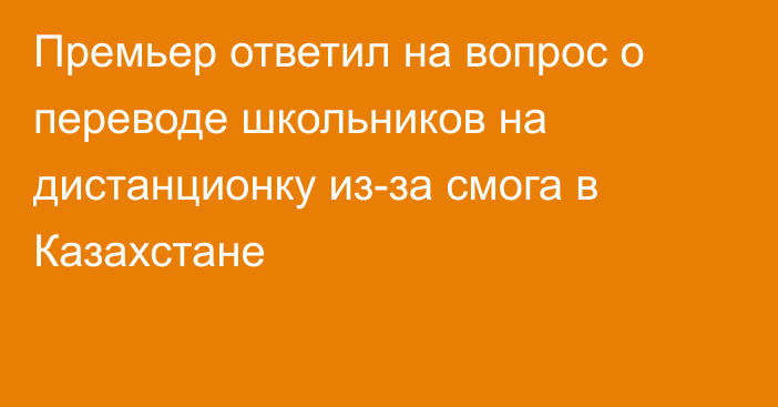 Премьер ответил на вопрос о переводе школьников на дистанционку из-за смога в Казахстане