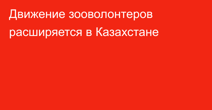 Движение зооволонтеров расширяется в Казахстане