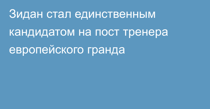 Зидан стал единственным кандидатом на пост тренера европейского гранда