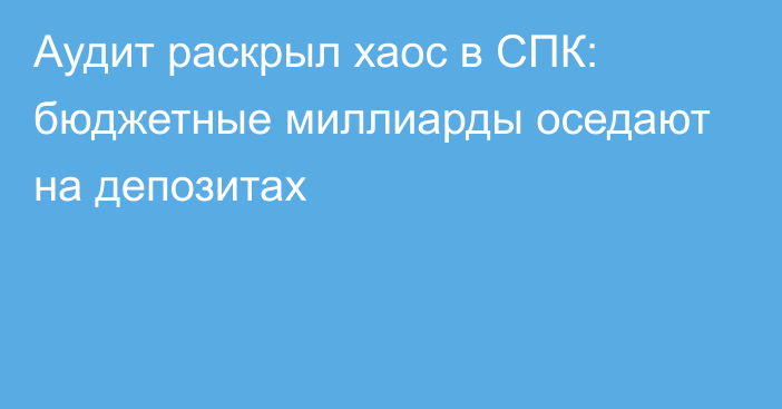 Аудит раскрыл хаос в СПК: бюджетные миллиарды оседают на депозитах