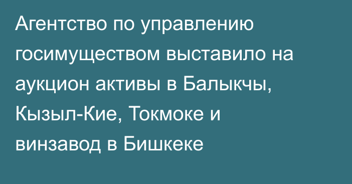 Агентство по управлению госимуществом выставило на аукцион активы в Балыкчы, Кызыл-Кие, Токмоке и винзавод в Бишкеке