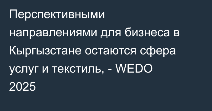 Перспективными направлениями для бизнеса в Кыргызстане остаются сфера услуг и текстиль, - WEDO 2025