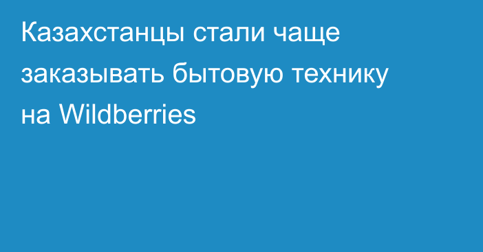 Казахстанцы стали чаще заказывать бытовую технику на Wildberries