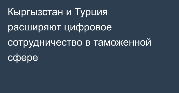 Кыргызстан и Турция расширяют цифровое сотрудничество в таможенной сфере
