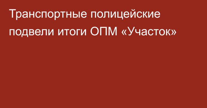 Транспортные полицейские подвели итоги ОПМ «Участок»