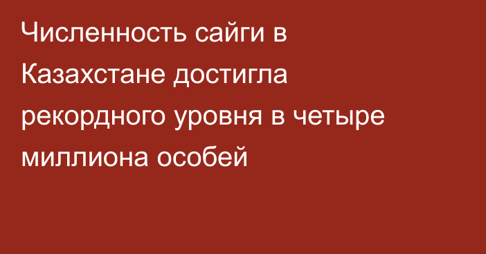 Численность сайги в Казахстане достигла рекордного уровня в четыре миллиона особей