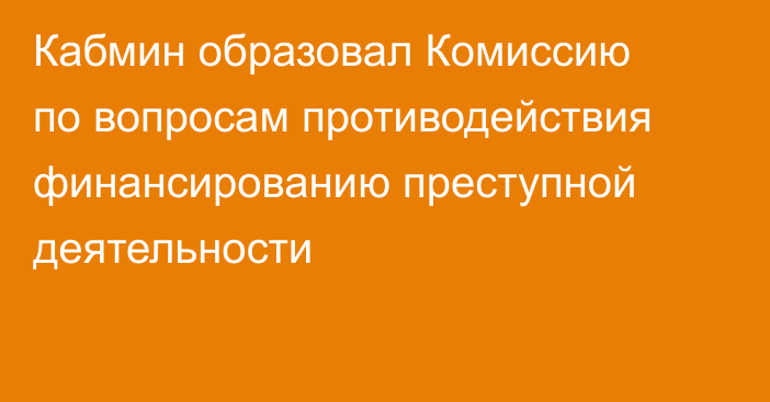 Кабмин образовал Комиссию по вопросам противодействия финансированию преступной деятельности
