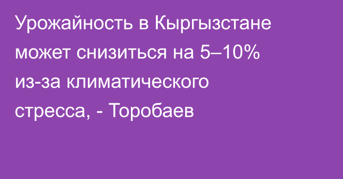 Урожайность в Кыргызстане может снизиться на 5–10% из-за климатического стресса, - Торобаев 