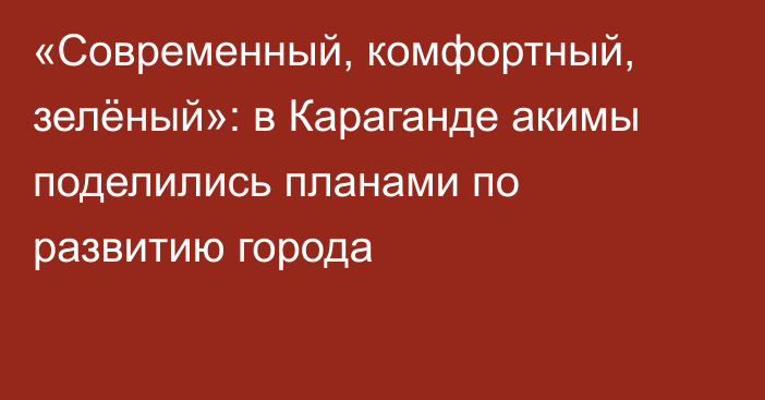 «Современный, комфортный, зелёный»: в Караганде акимы поделились планами по развитию города