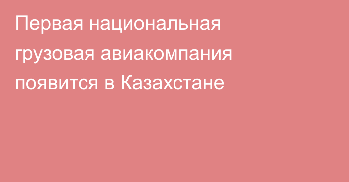 Первая национальная грузовая авиакомпания появится в Казахстане