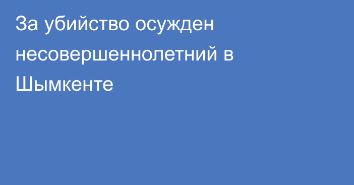 За убийство осужден несовершеннолетний в Шымкенте