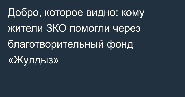 Добро, которое видно: кому жители ЗКО помогли через благотворительный фонд «Жулдыз»