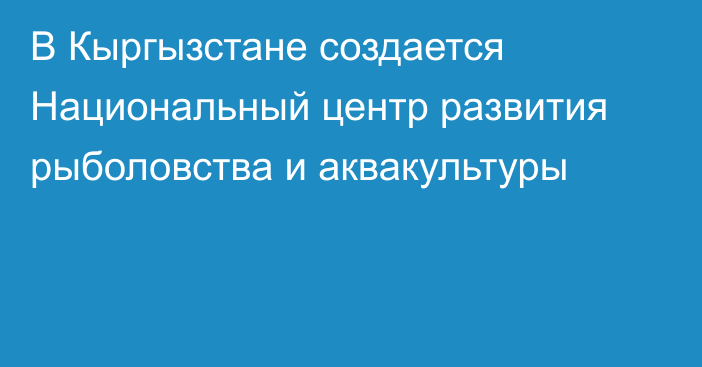 В Кыргызстане создается Национальный центр развития рыболовства и аквакультуры