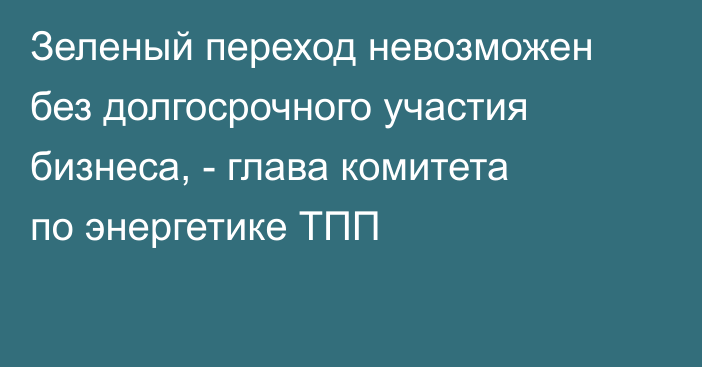 Зеленый переход невозможен без долгосрочного участия бизнеса, - глава комитета по энергетике ТПП