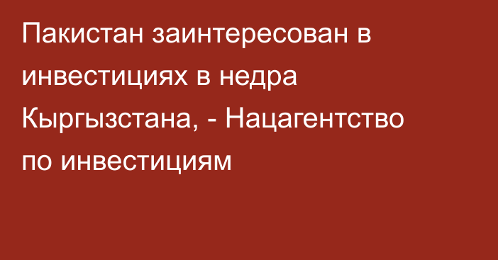 Пакистан заинтересован в инвестициях в недра Кыргызстана, - Нацагентство по инвестициям