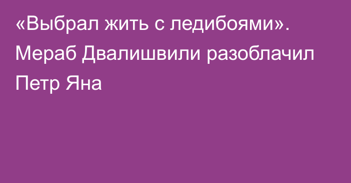«Выбрал жить с ледибоями». Мераб Двалишвили разоблачил Петр Яна
