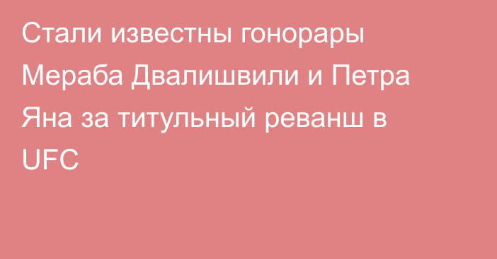 Стали известны гонорары Мераба Двалишвили и Петра Яна за титульный реванш в UFC