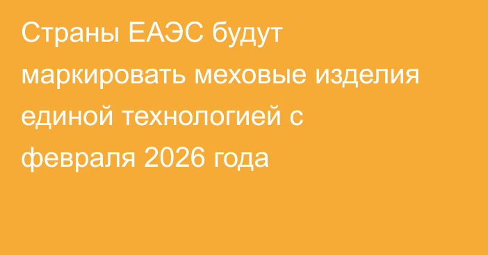 Страны ЕАЭС будут маркировать меховые изделия единой технологией с февраля 2026 года