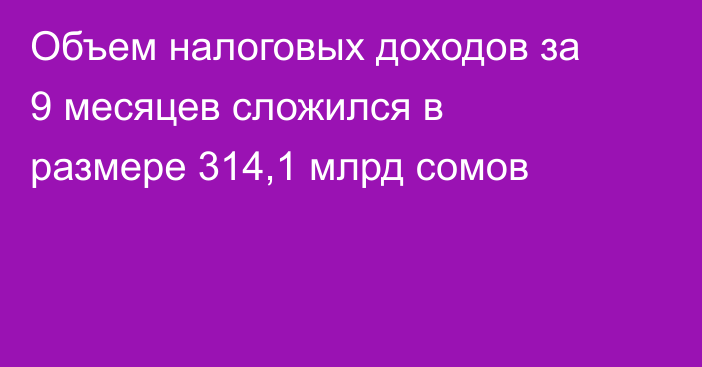 Объем налоговых доходов за 9 месяцев сложился в размере 314,1 млрд сомов