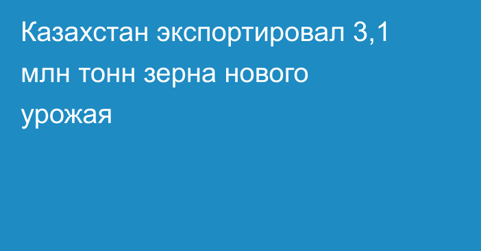 Казахстан экспортировал 3,1 млн тонн зерна нового урожая