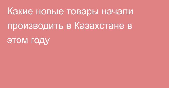 Какие новые товары начали производить в Казахстане в этом году
