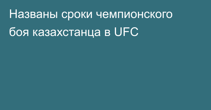Названы сроки чемпионского боя казахстанца в UFC