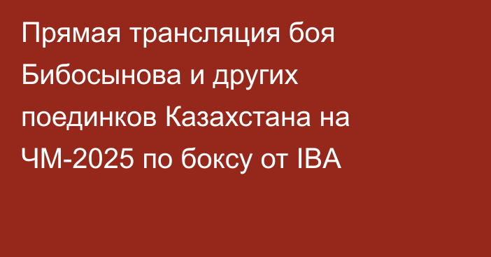 Прямая трансляция боя Бибосынова и других поединков Казахстана на ЧМ-2025 по боксу от IBA