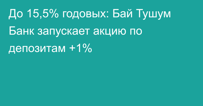 До 15,5% годовых: Бай Тушум Банк запускает акцию по депозитам +1%