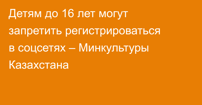 Детям до 16 лет могут запретить регистрироваться в соцсетях – Минкультуры Казахстана