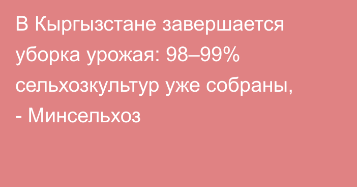 В Кыргызстане завершается уборка урожая: 98–99% сельхозкультур уже собраны, - Минсельхоз