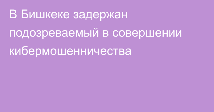 В Бишкеке задержан подозреваемый в совершении кибермошенничества