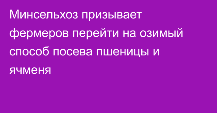 Минсельхоз призывает фермеров перейти на озимый способ посева пшеницы и ячменя