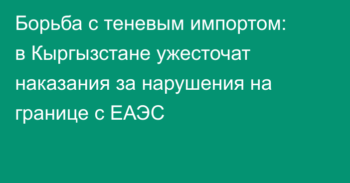 Борьба с теневым импортом: в Кыргызстане ужесточат наказания за нарушения на границе с ЕАЭС