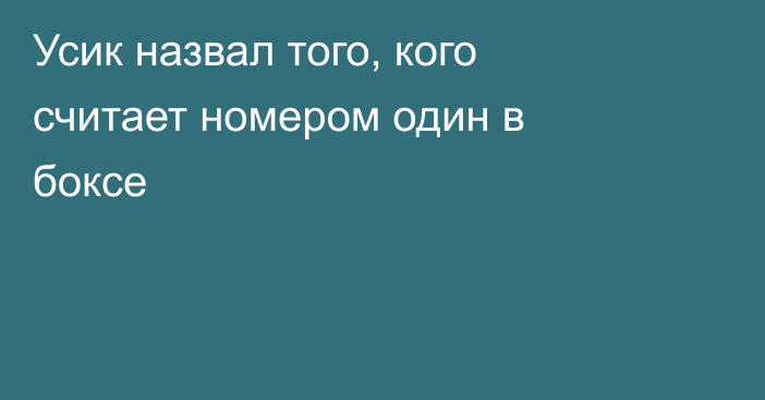 Усик назвал того, кого считает номером один в боксе