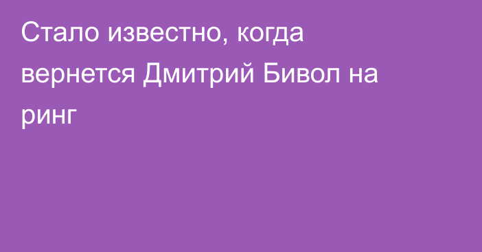 Стало известно, когда вернется Дмитрий Бивол на ринг