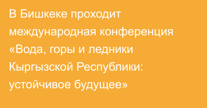 В Бишкеке проходит международная конференция «Вода, горы и ледники Кыргызской Республики: устойчивое будущее»