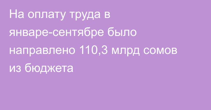 На оплату труда в январе-сентябре было направлено 110,3 млрд сомов из бюджета