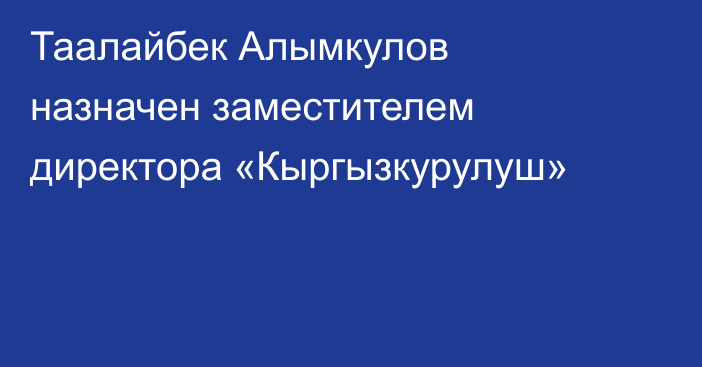 Таалайбек Алымкулов назначен заместителем директора «Кыргызкурулуш»