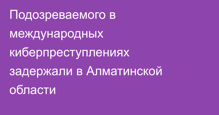 Подозреваемого в международных киберпреступлениях задержали в Алматинской области