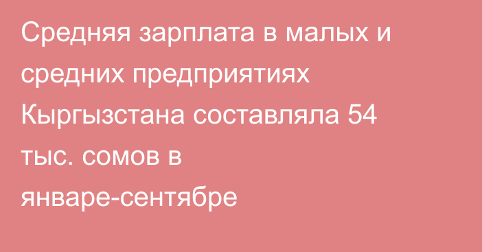 Средняя зарплата в малых и средних предприятиях Кыргызстана составляла 54 тыс. сомов в январе-сентябре